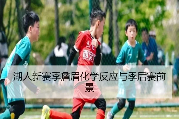 湖人新赛季詹眉化学反应与季后赛前景